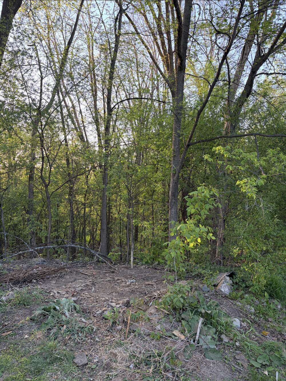 Cleared, level ground after Goldsmith Exteriors demolition and haul-away